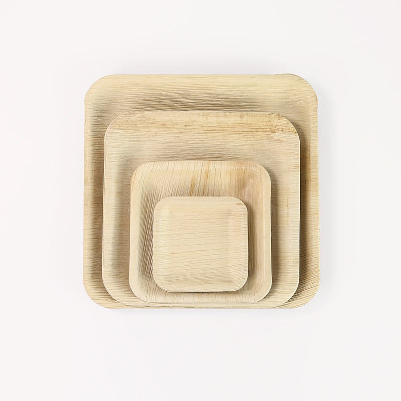 Square Palm Leaf Plate