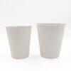 Bagasse Cups