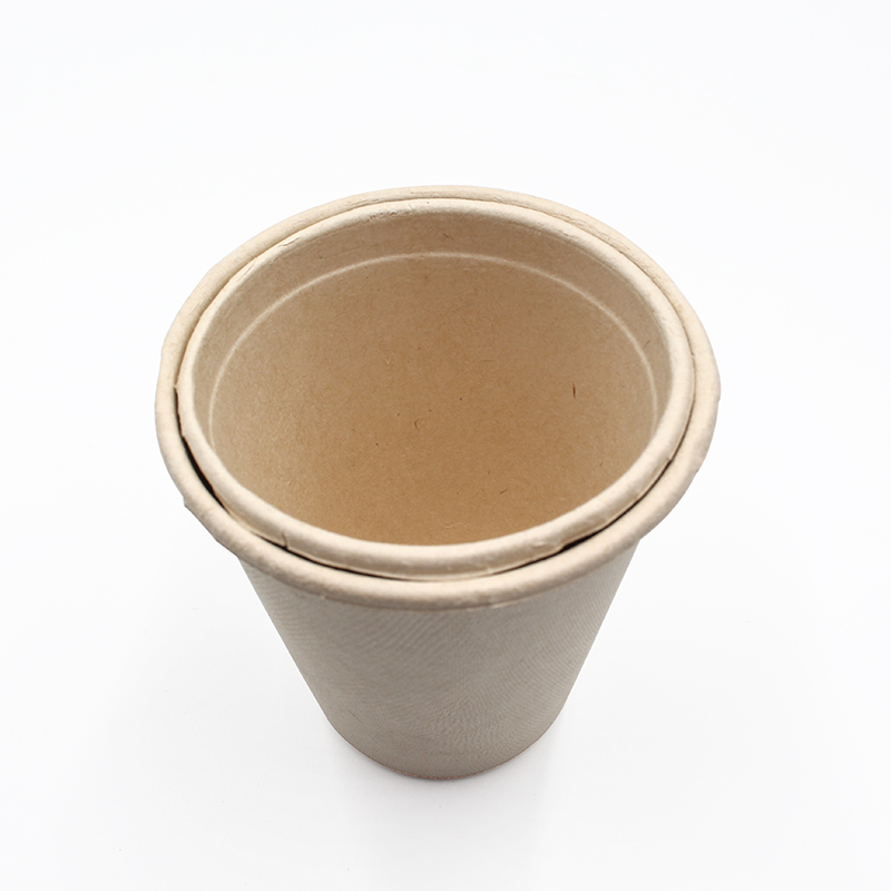 Bagasse Cups