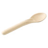 Bagasse Spoon