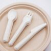 Bagasse Disposable Fork