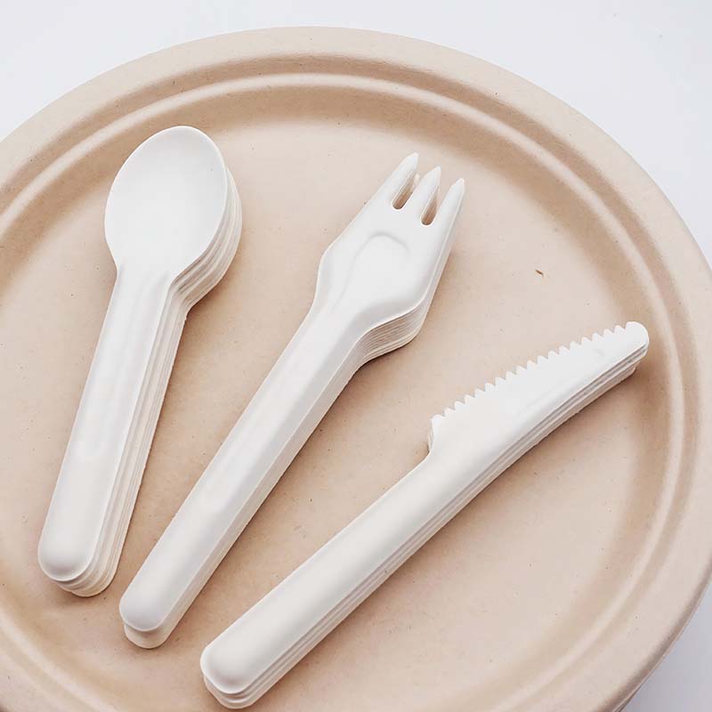 Bagasse Disposable Fork