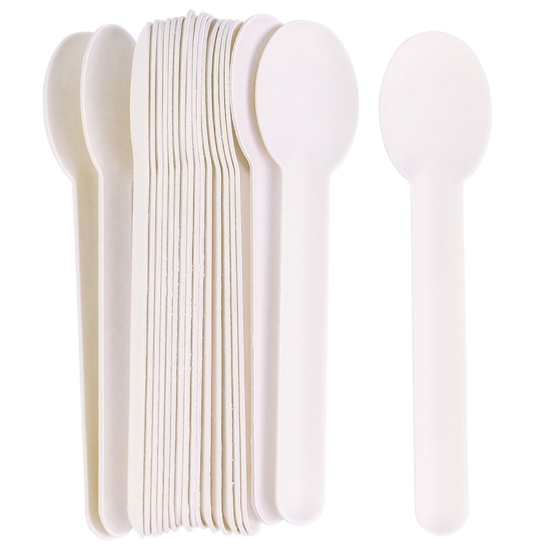 Bagasse Spoon