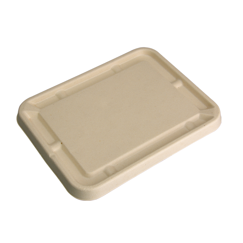 Square Bagasse Lid