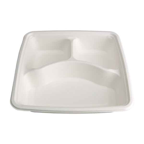 Compartment Bagasse Boxes