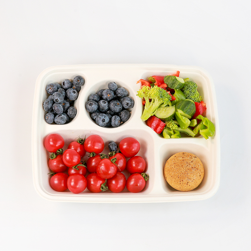 Compartment Bagasse Boxes