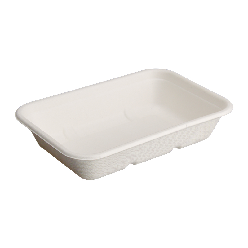 Square Bagasse Boxes