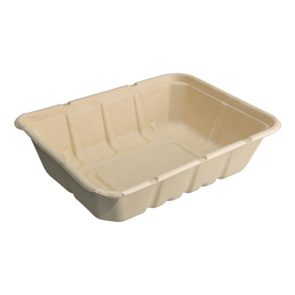 Square Bagasse Boxes