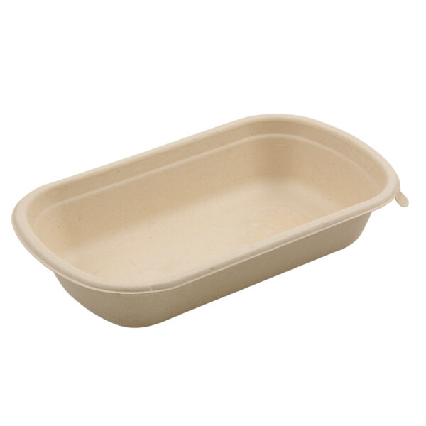 Bagasse Packing Boxes
