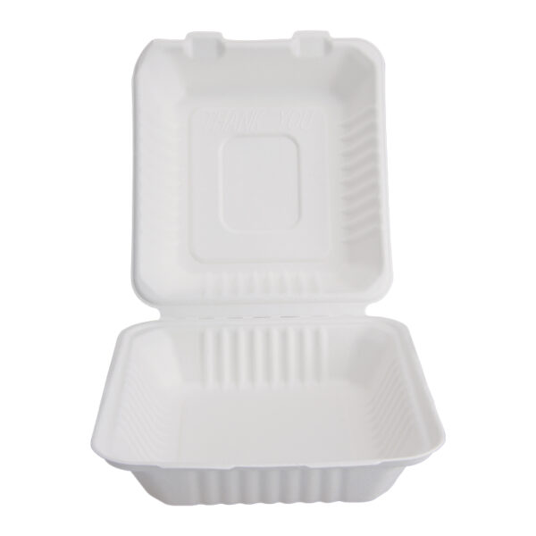 Square Sugarcane Bagasse Lunch Boxes