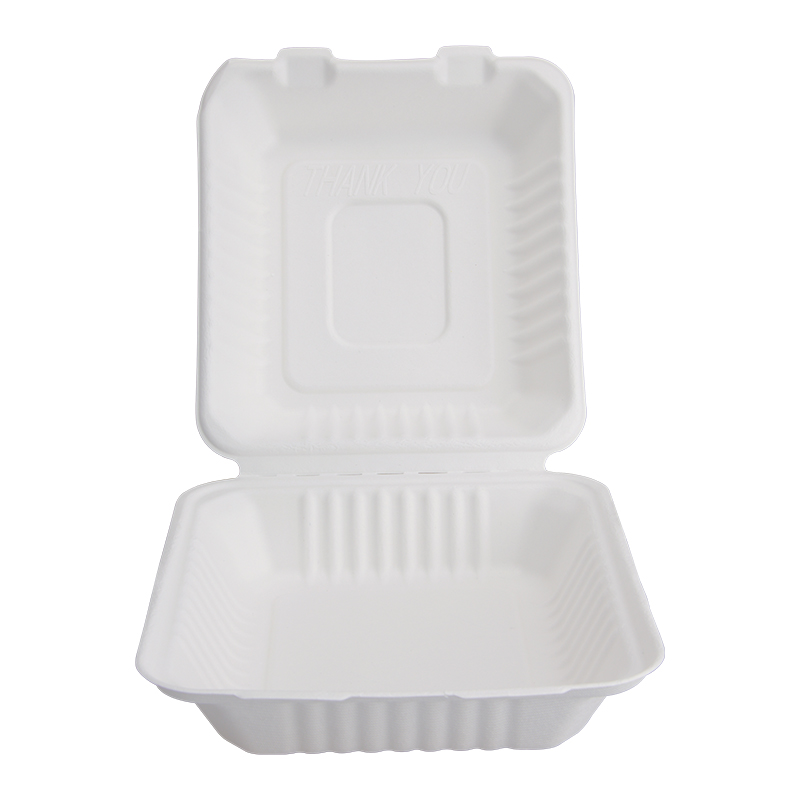 Square Sugarcane Bagasse Lunch Boxes