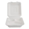Square Sugarcane Bagasse Lunch Boxes