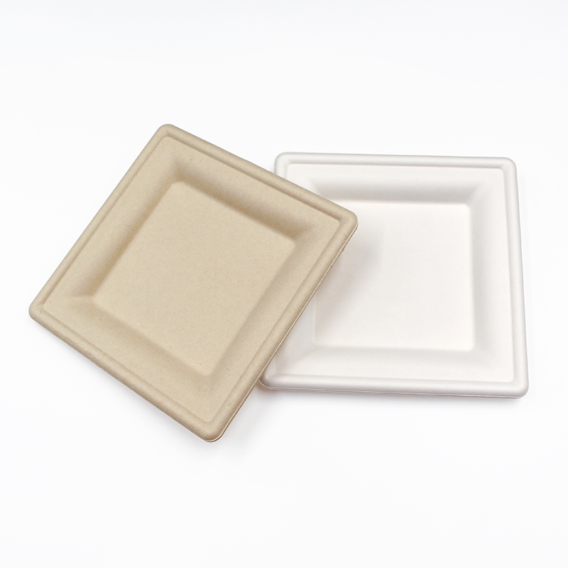 Bagasse Square Plate