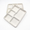 Bagasse Tray