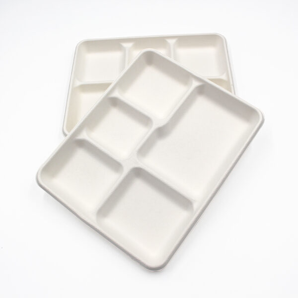 Bagasse Tray