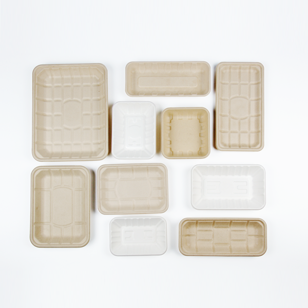 Bagasse Food Tray
