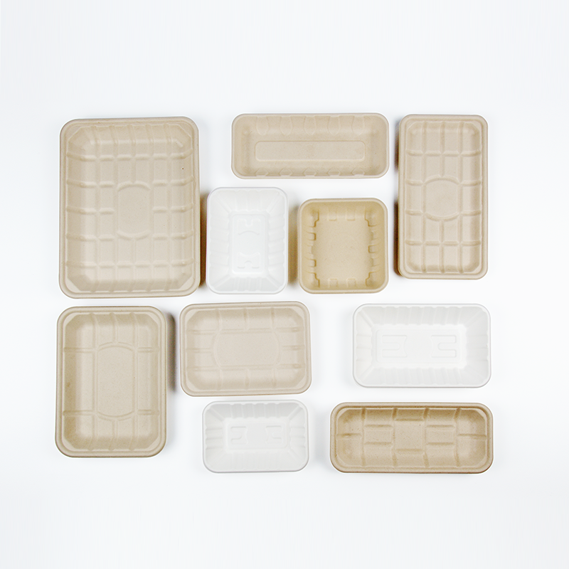 Bagasse Food Tray