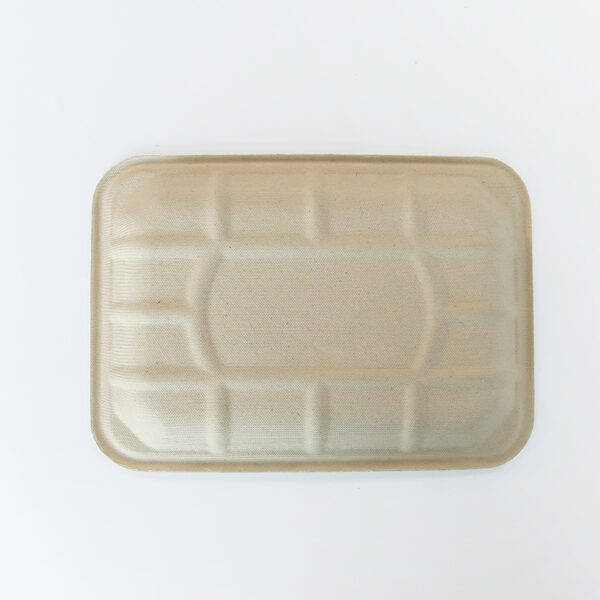 Bagasse Food Tray