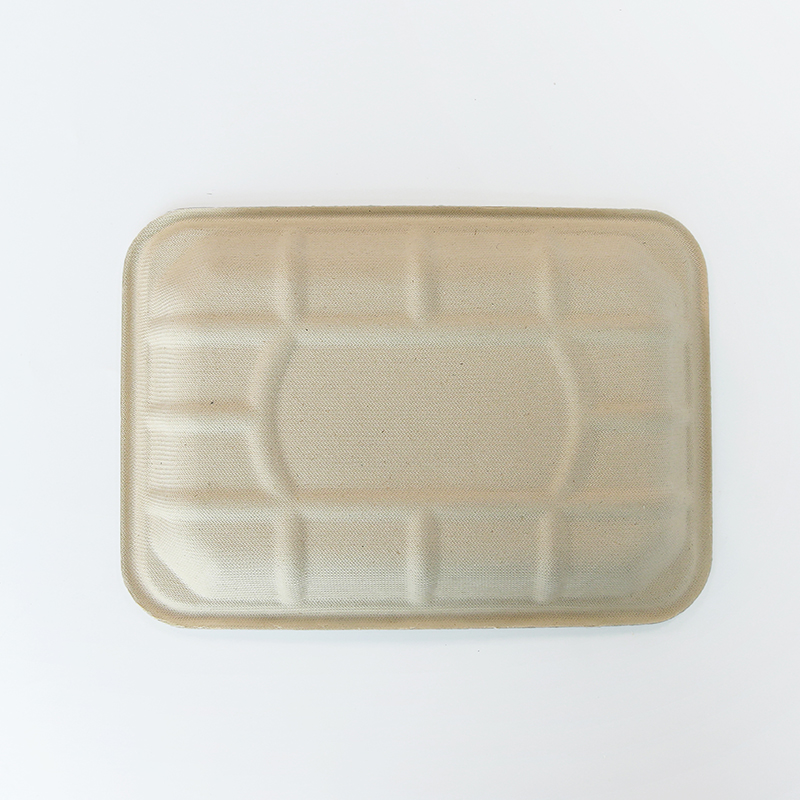 Bagasse Food Tray