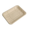Bagasse Food Tray