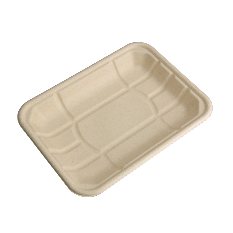 Bagasse Food Tray