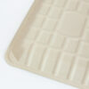 Bagasse Food Tray