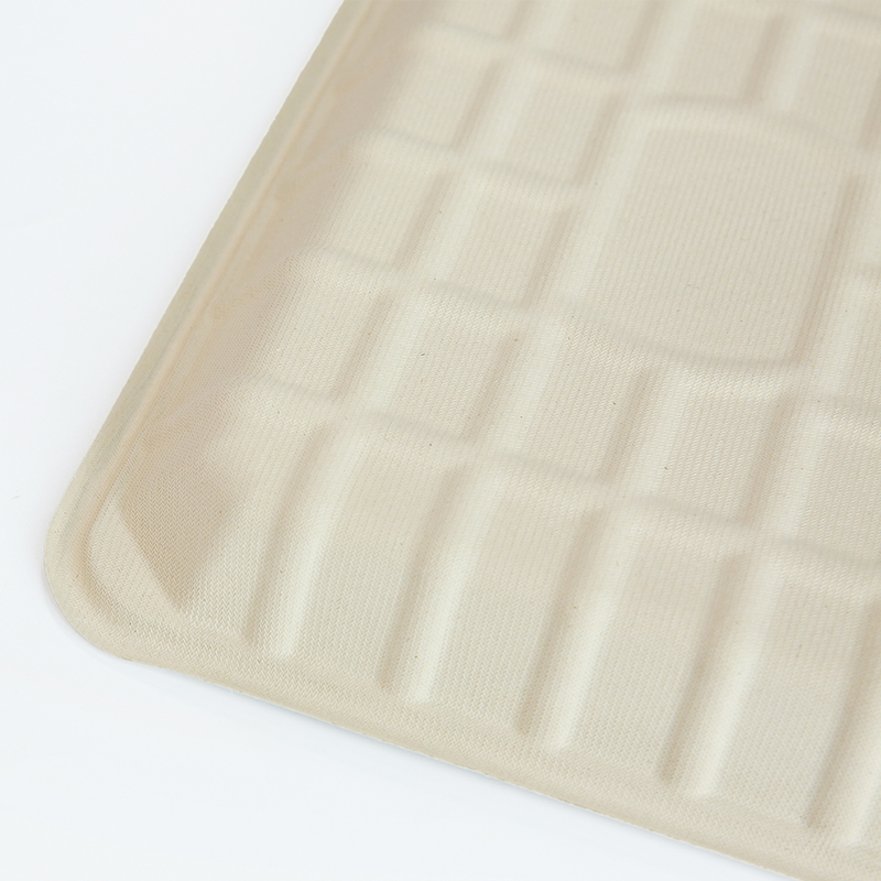 Bagasse Food Tray