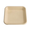 Bagasse Food Tray