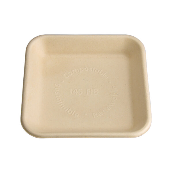 Bagasse Food Tray