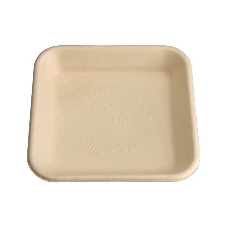 Bagasse Food Tray