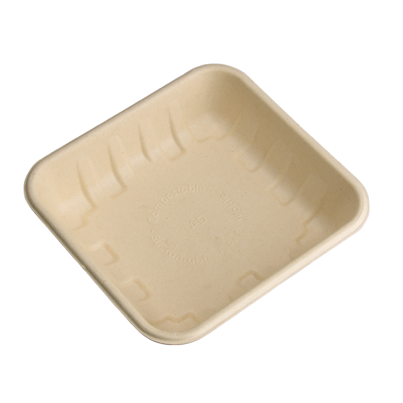 Bagasse Food Tray