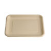 Bagasse Food Tray