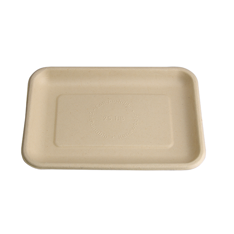 Bagasse Food Tray