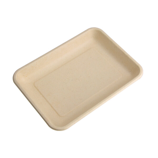 Bagasse Food Tray