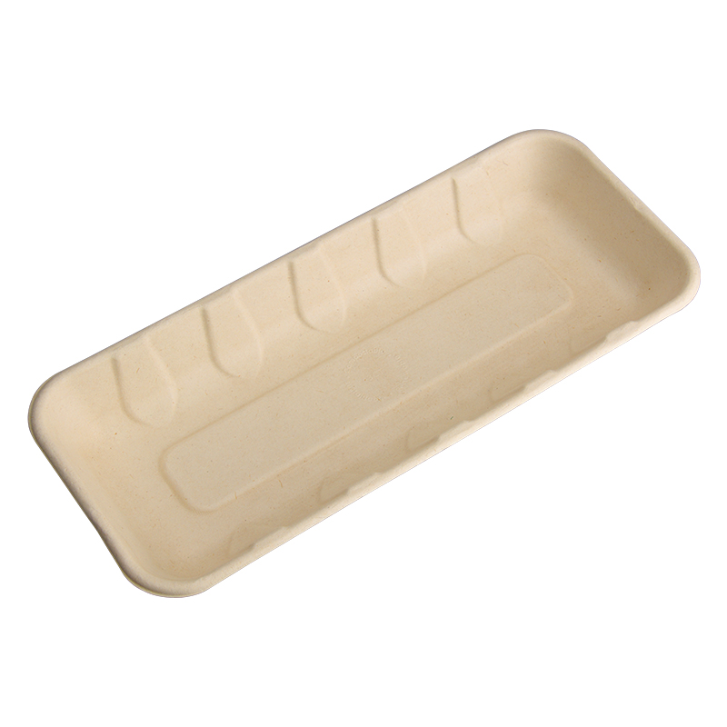 Bagasse Food Tray