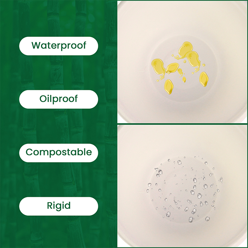 Large Round Bagasse Bowls