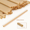 Bagasse Straw