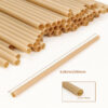 Bagasse Straw