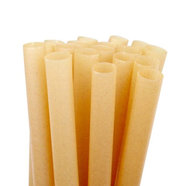 Bagasse Straw