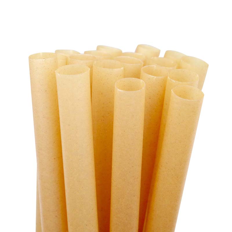 Bagasse Straw