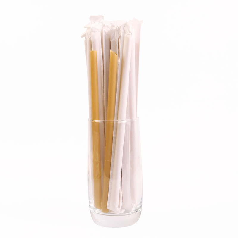 Individually Wrapped Natural Bagasse Straws – Compostable Eco Friendly Drinking Straws Wholesale