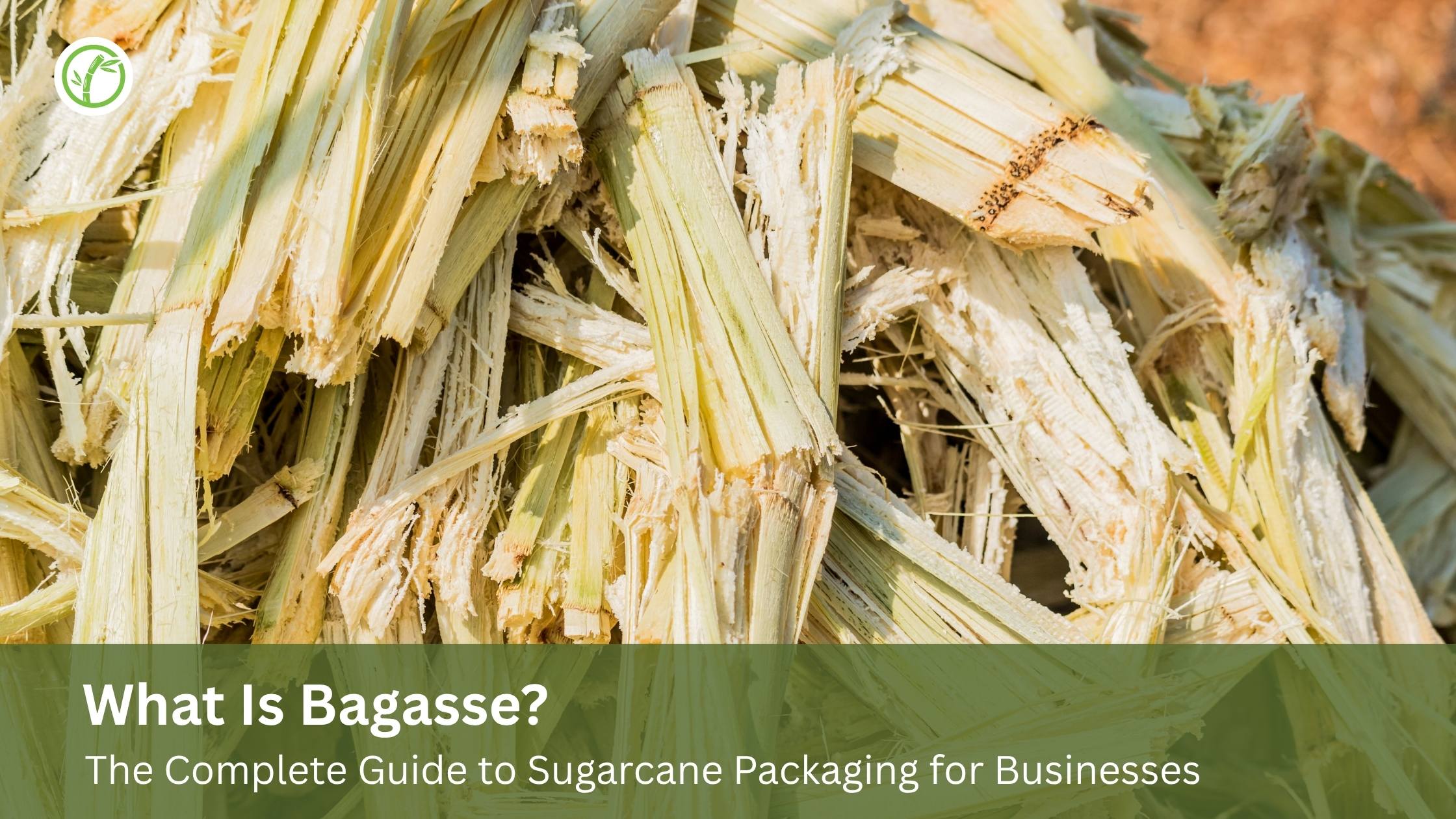 What Is Bagasse