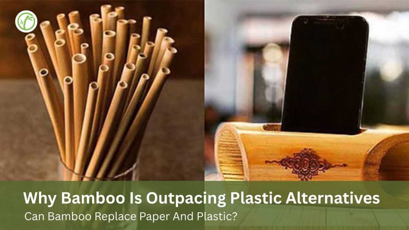 Why Bamboo Is Outpacing Plastic Alternatives Worldwide