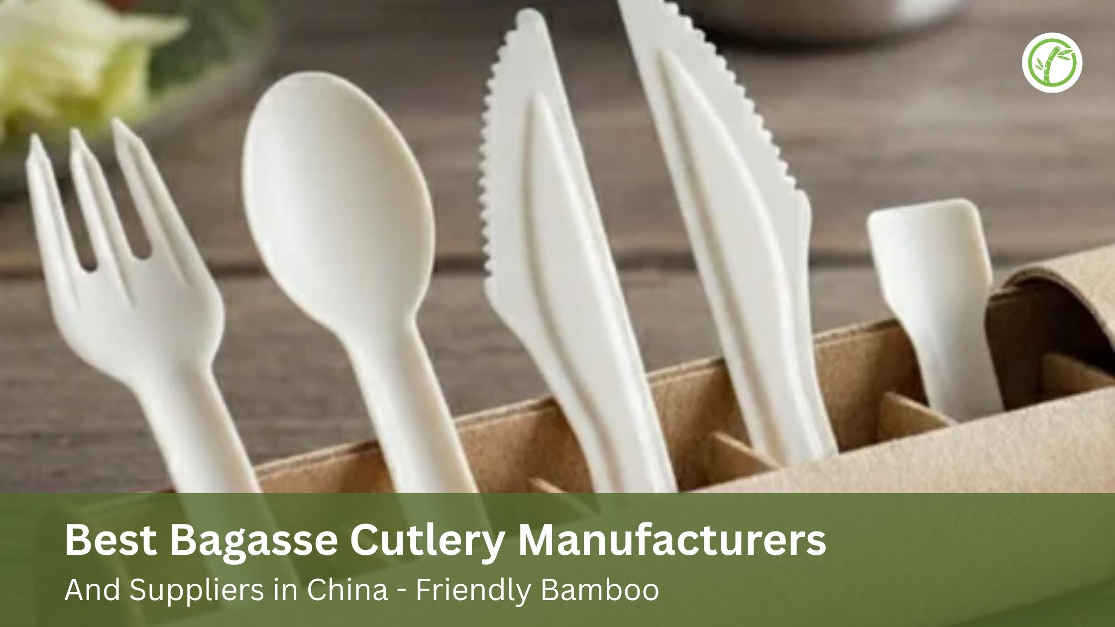 Best Bagasse Cutlery Manufacturers