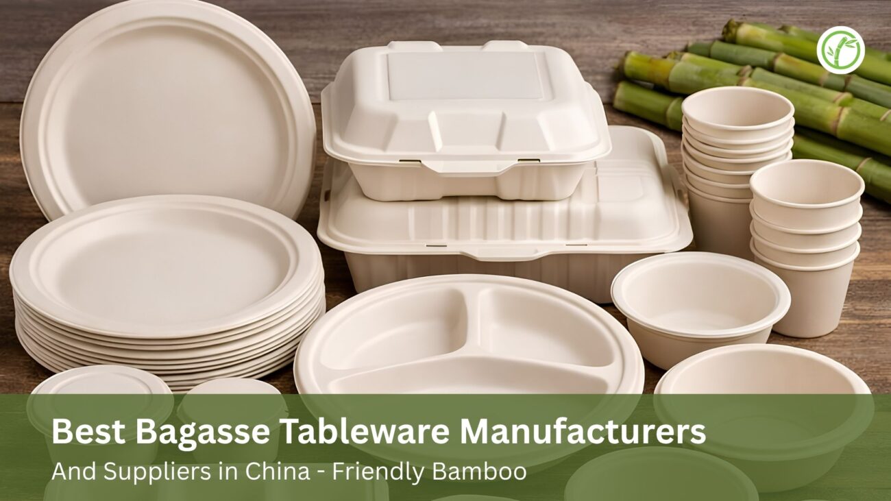 Best Bagasse Tableware Manufacturers & Suppliers in China 2026