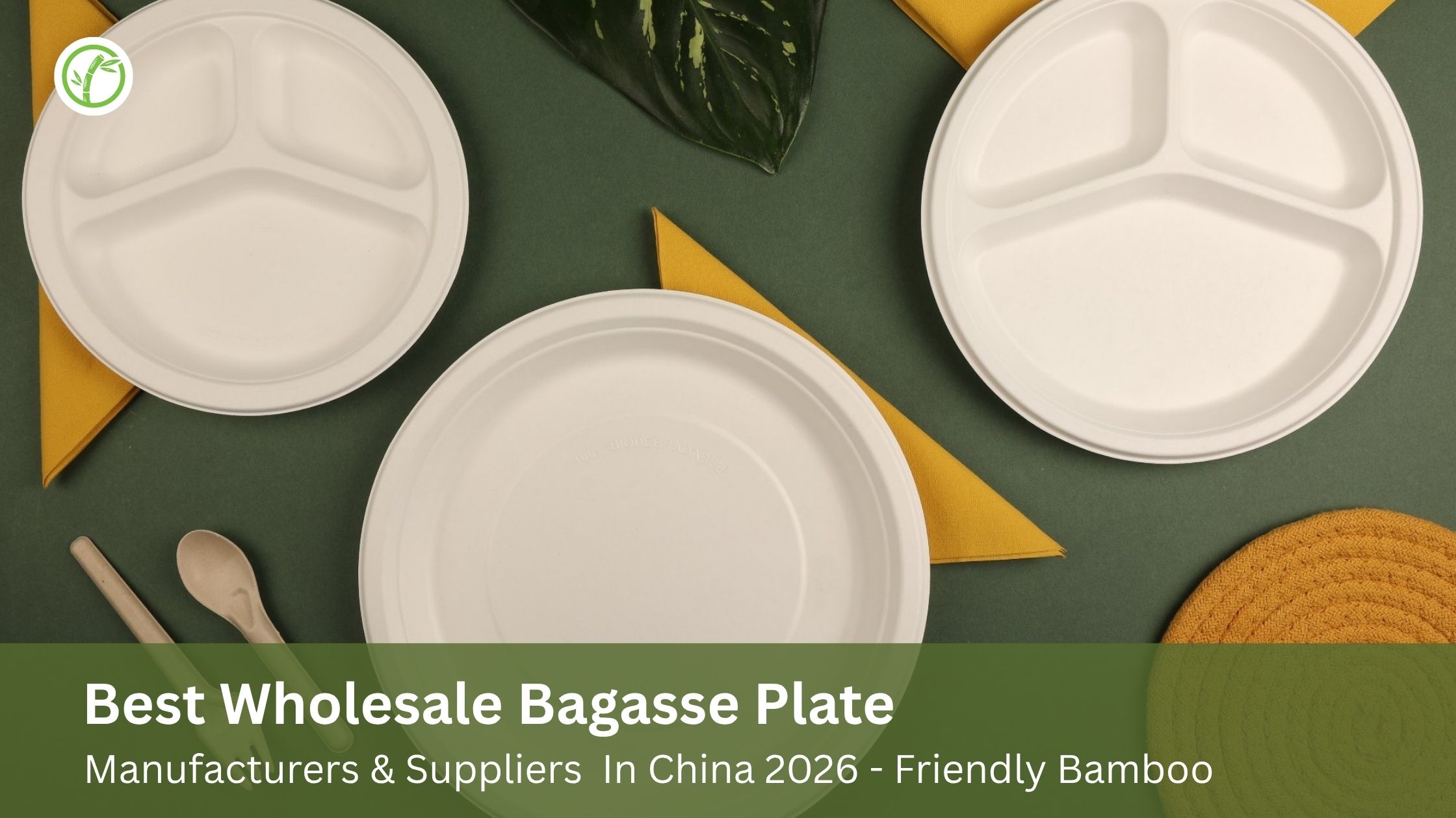 Best Wholesale Bagasse Plate