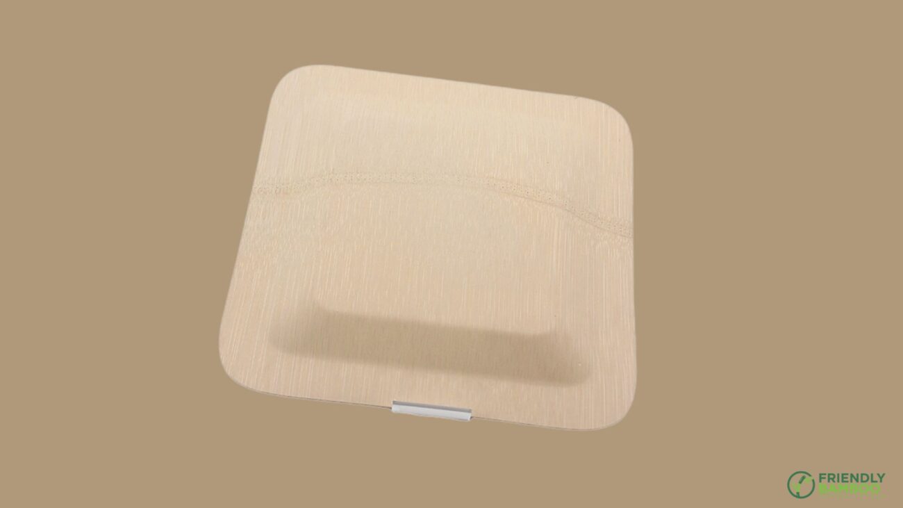 Bagasse Containers and Packaging