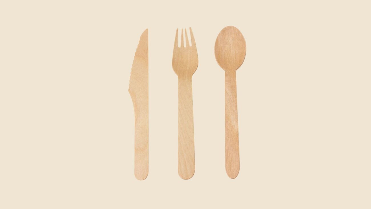 Bagasse Tableware and Containers - Eco Friendly Products for Restaurants