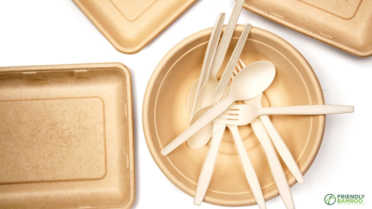 Compostable PLA (Polylactic Acid) Containers