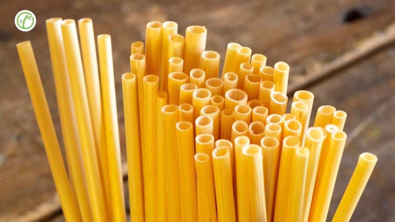 Eco Friendly Straws for Catering Bars and Beverage Stations